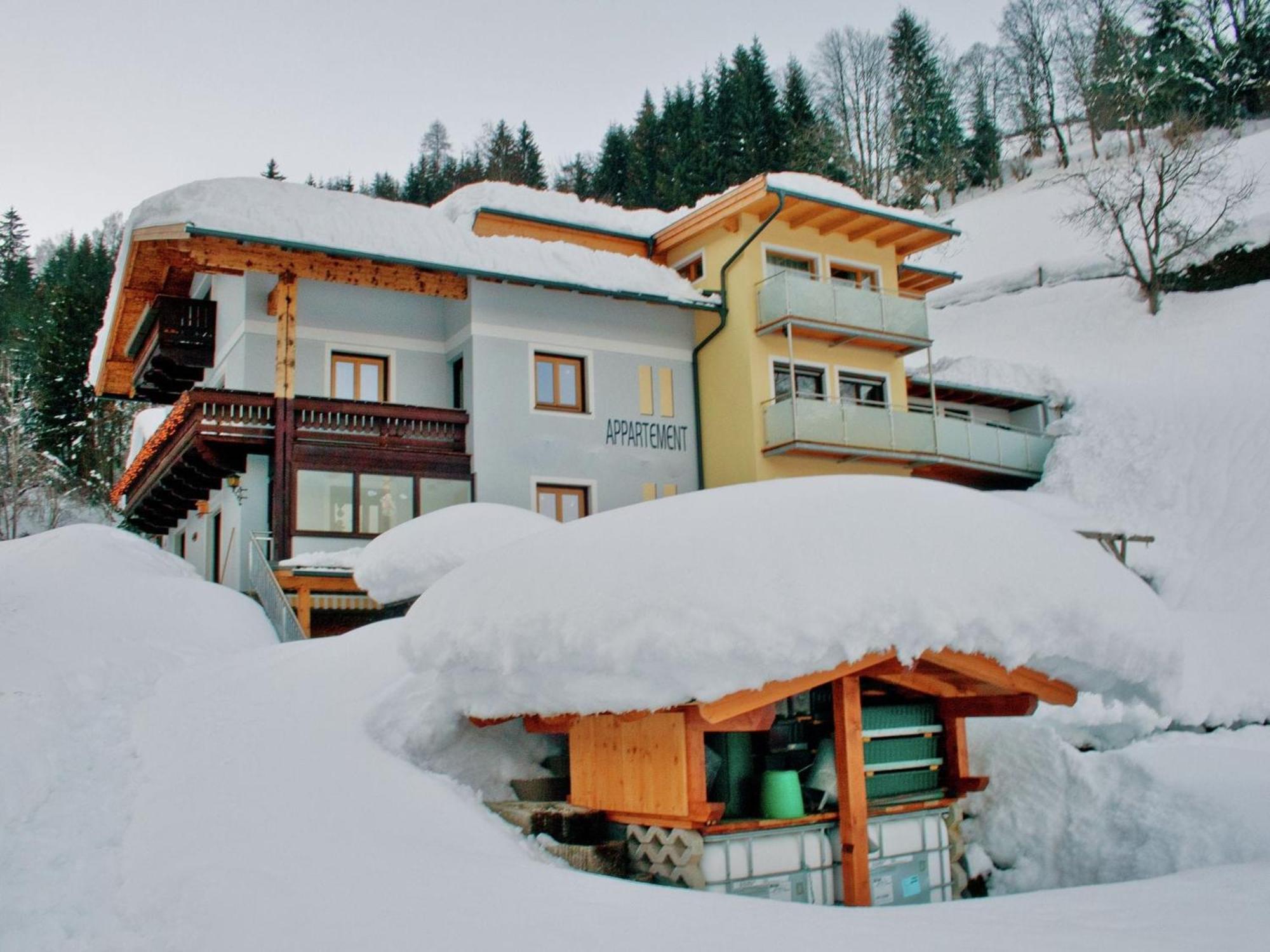 Beautiful Apartment In Zell Am See Near Ski Area Екстериор снимка